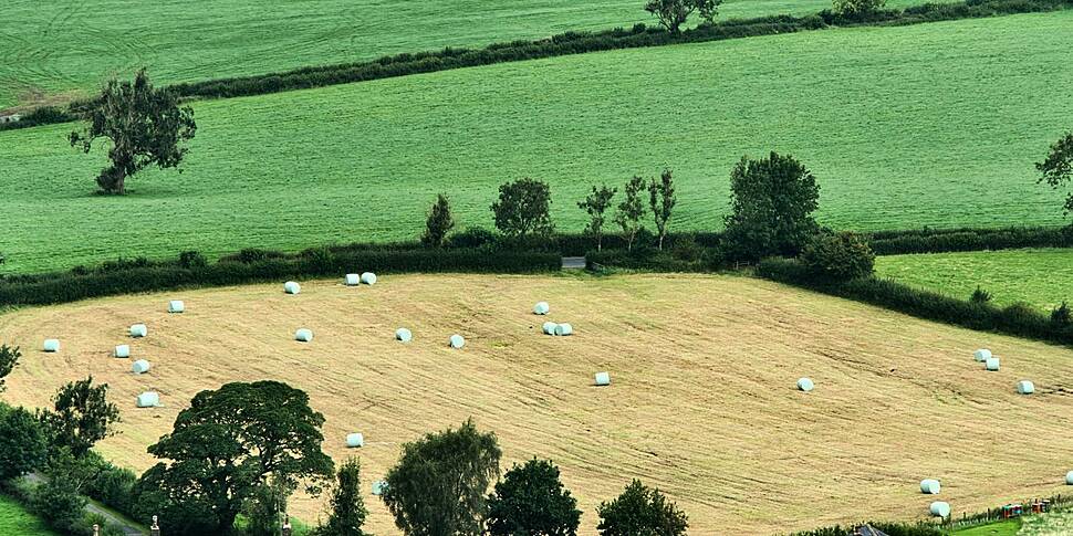 Paying to work on a farm - a f...