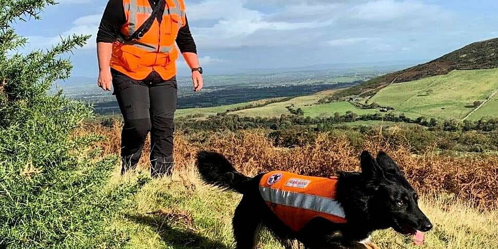 How mountain rescue dogs do th...