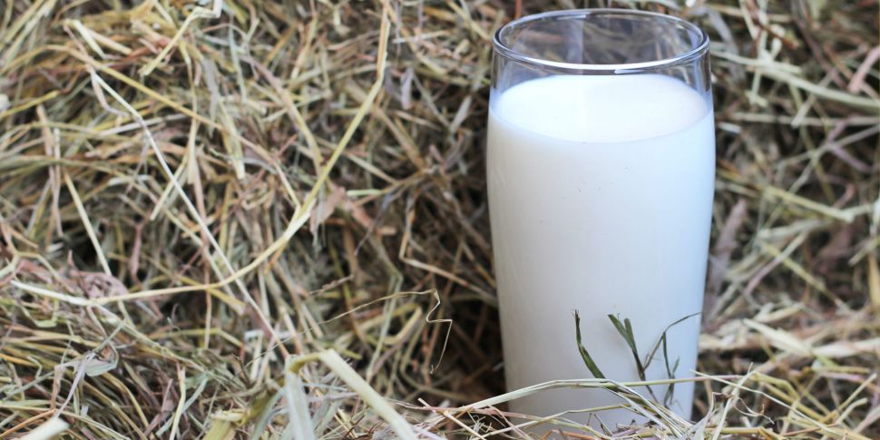 Drinking raw milk: The new fro...