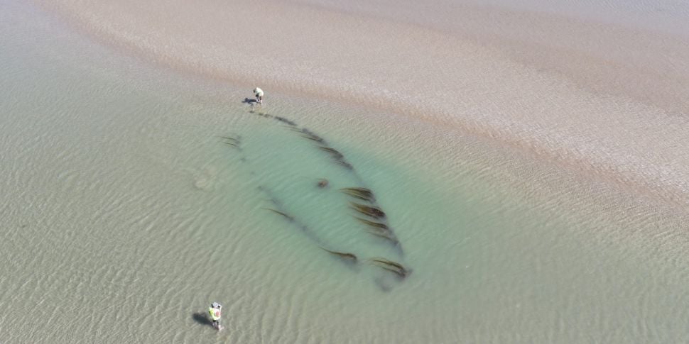 Portmarnock shipwrecks: Archae...