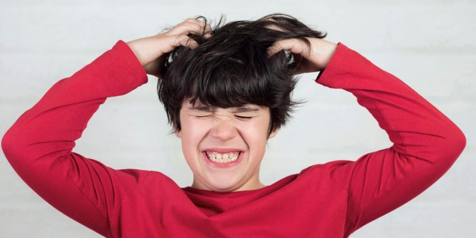 Nits v lice: What's the differ...