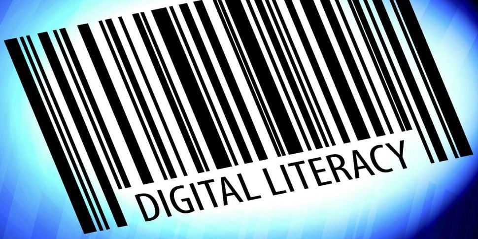 Developing digital literacy in...