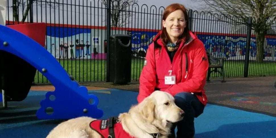 How autism assistance dogs are...