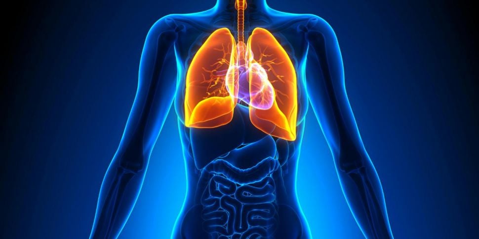 A €4.9 million lung cancer res...