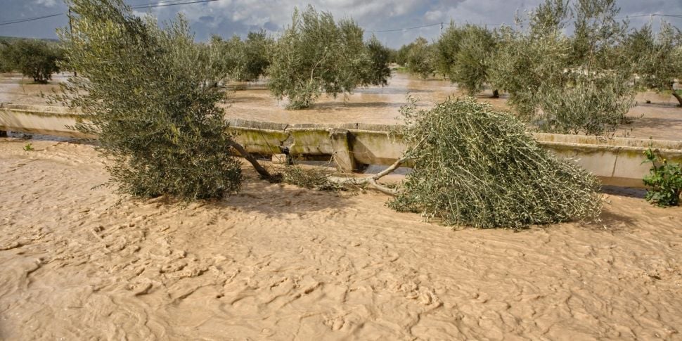 Spain floods: 'Too early to te...