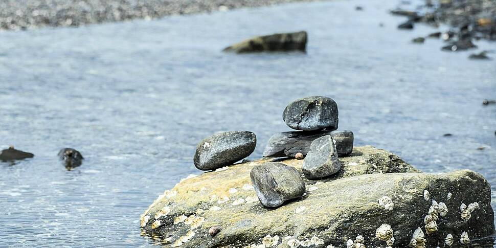 Protecting Ireland's marine ec...