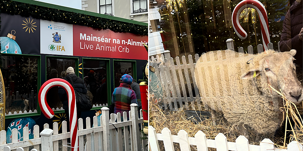 Live Animal Crib opens outside...