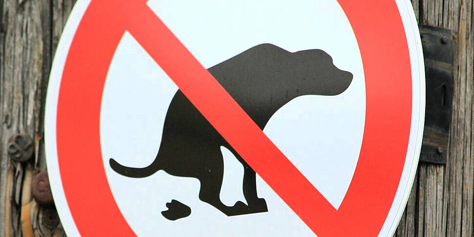 Does Ireland have a dog poo pr...