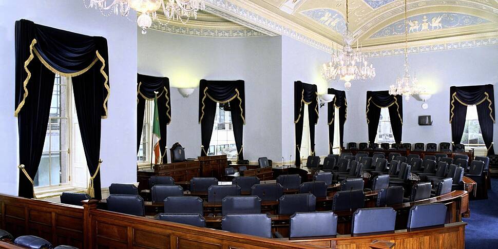 Seanad elections: Who can vote...