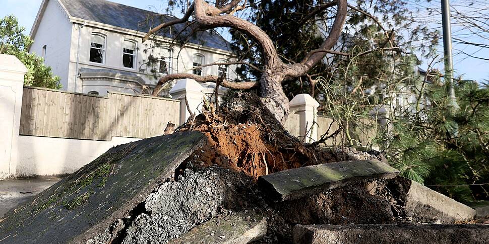 Storm Éowyn: Dáil hears Govern...