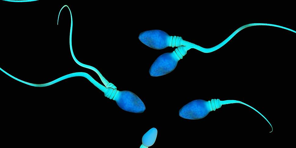 Sperm cells carry traces of ch...