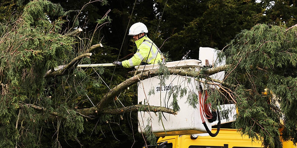 Storm Éowyn: Cutting down tree...