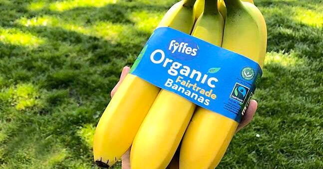 Fyffes announces fully recyclable paper banding for ...