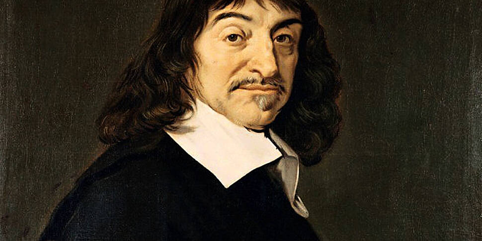 descartes meaning rene descartes theory