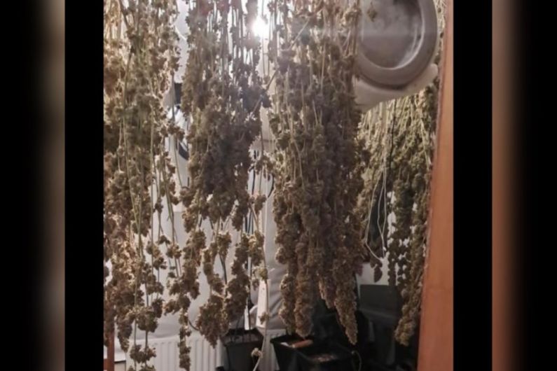 Over €162,000 worth of cannabis seized locally