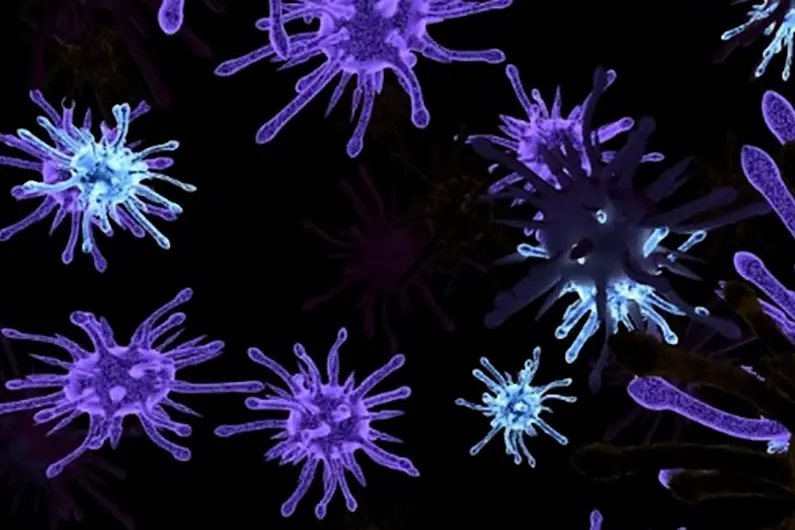 Professor of Health Systems says it's likely Ireland will have cases of Monkeypox