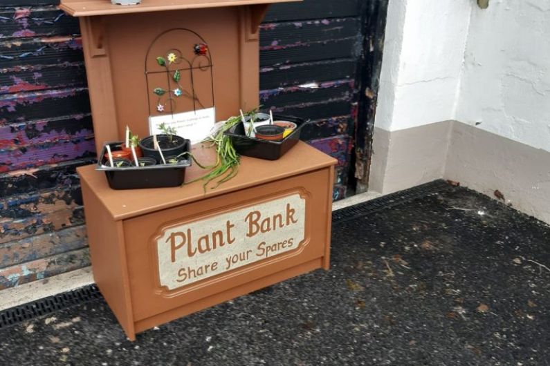 Mountnugent 'Plant Bank' initiative hopes to improve local environment