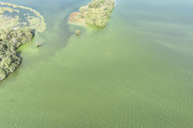 Locals warned of 'algal blooms' across the region