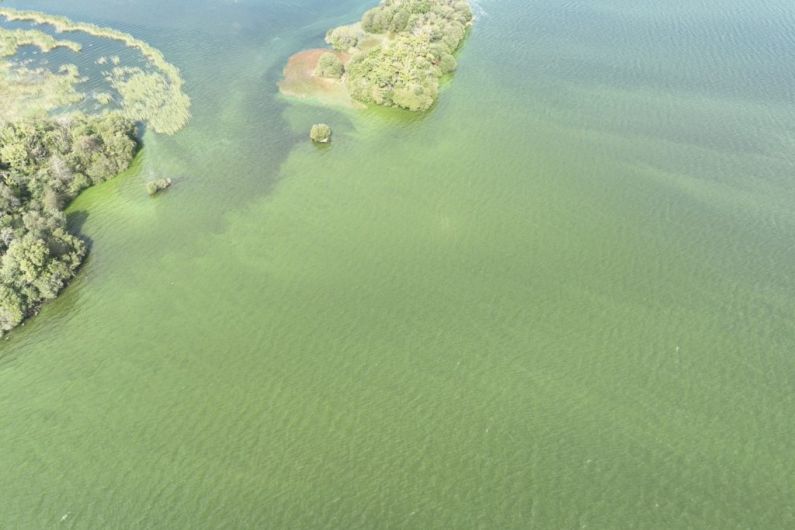 Locals warned of 'algal blooms' across the region