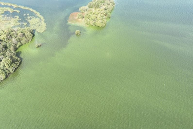 Monaghan County Council warns locals of toxic algal blooms