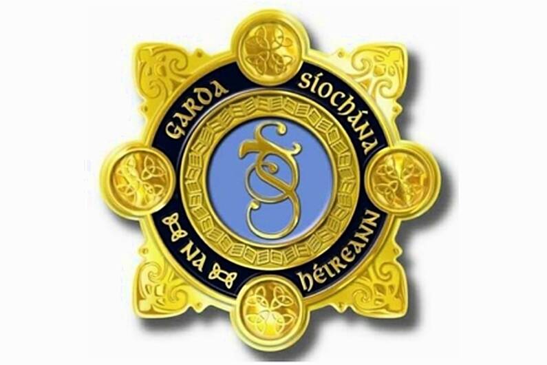 191 complaints made against Garda&iacute; in local division last year