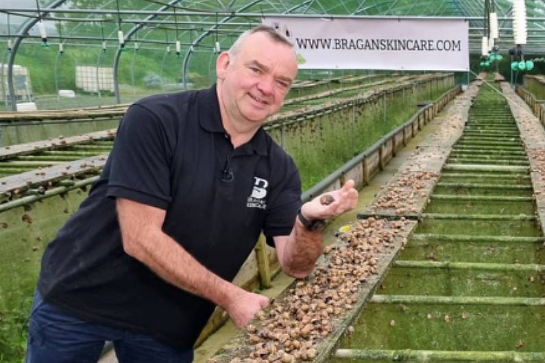 Monaghan farmer increases snail numbers to over 1M