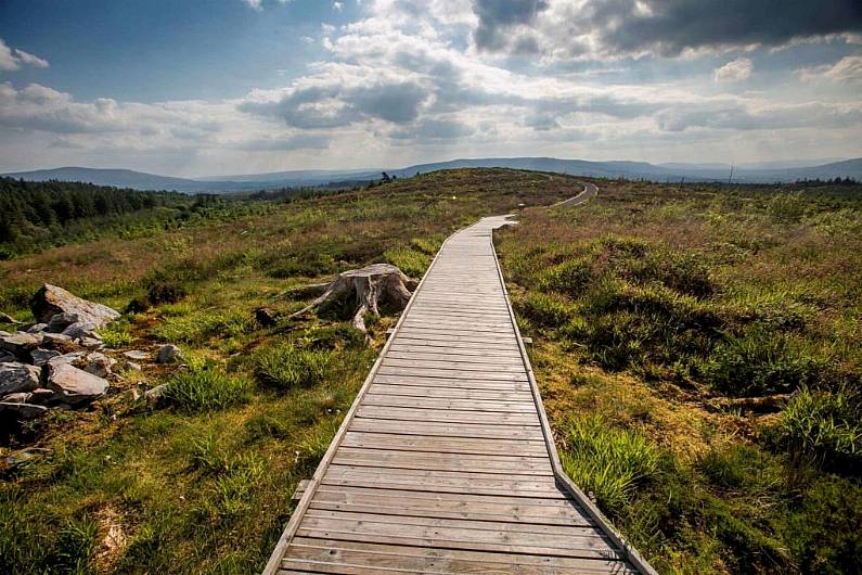 Failte Ireland to develop tourism plan for Co Cavan