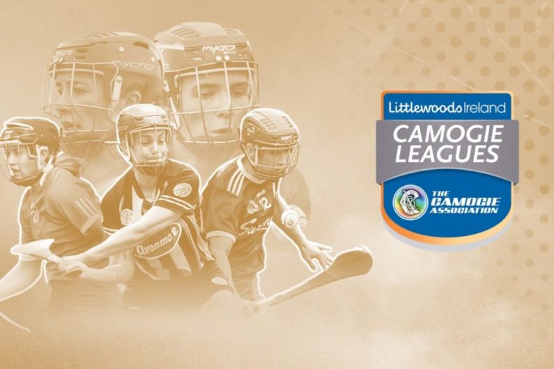 2 from 2 for Cavan Camogs