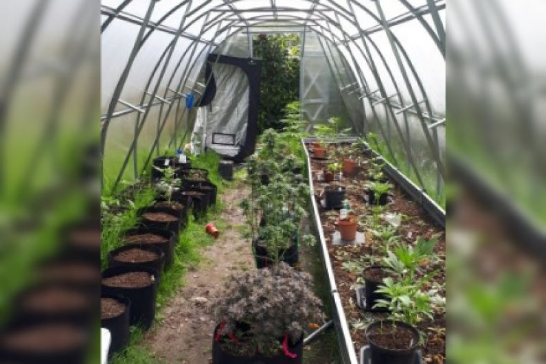 Man charged over cannabis grow house seizure in Roscommon