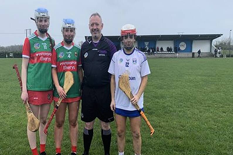 Cavan camogie round-up