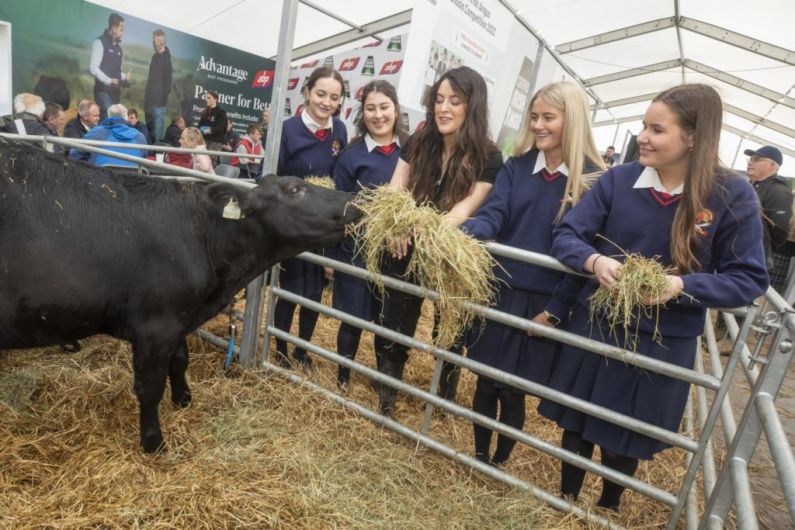 Local students selected as finalists in Certified Irish Angus competition