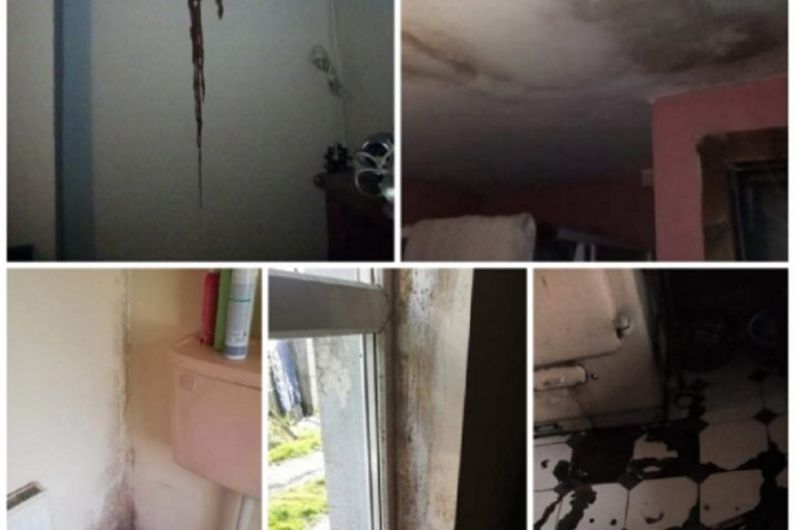 Local HAP tenant pleading with council to inspect her 'horrendous' rented property