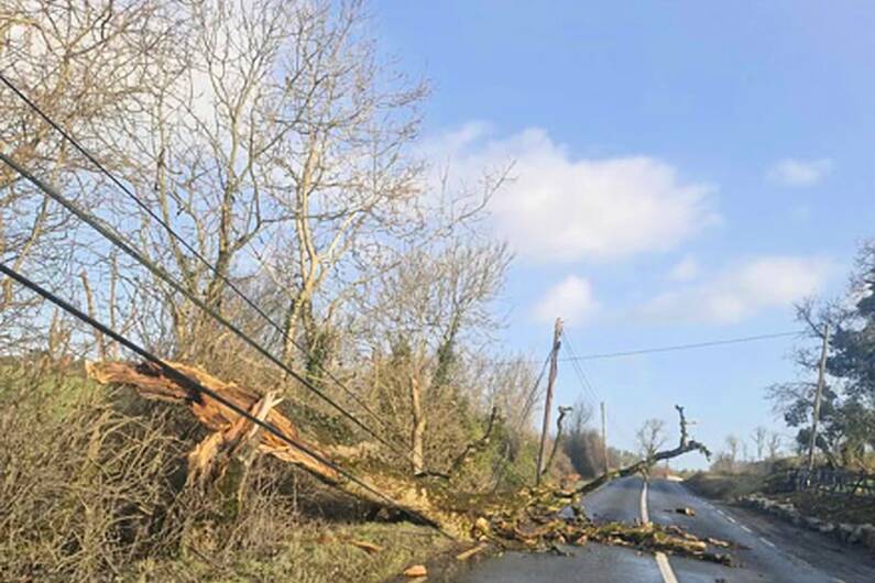 Local TD calls for risk assessment to be carried out following Storm Eowyn