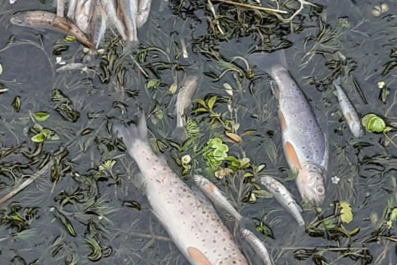 Cavan fish kill attributed to Uisce &Eacute;ireann water plant