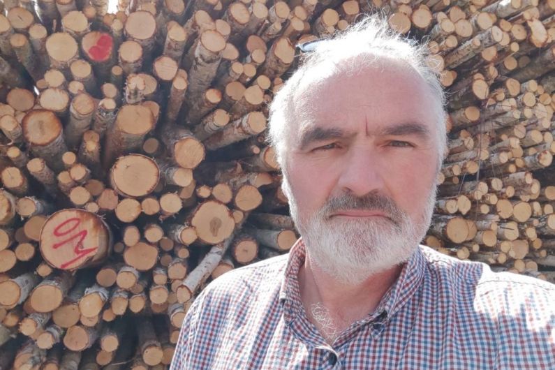 Cavan tree farmer welcomes ash dieback compensation