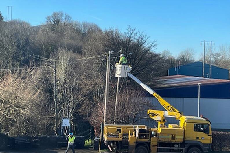 Forestry owners &quot;wrongly blamed&quot; for outages - Cavan forestry rep.