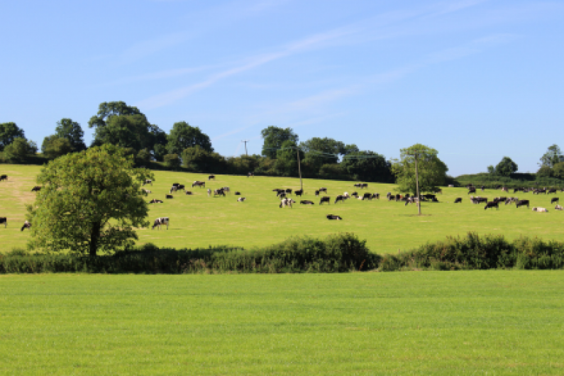 Monaghan agriculture contributes &euro;1.5bn to local economy