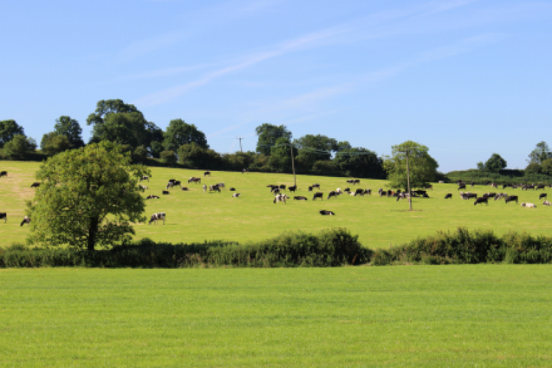 Monaghan agriculture contributes €1.5bn to local economy