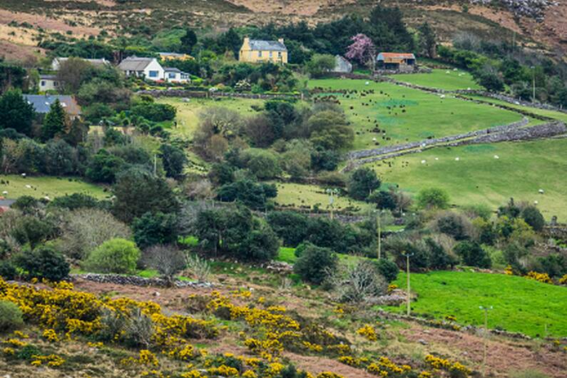 Young Cavan farmer critical of rural planning regs