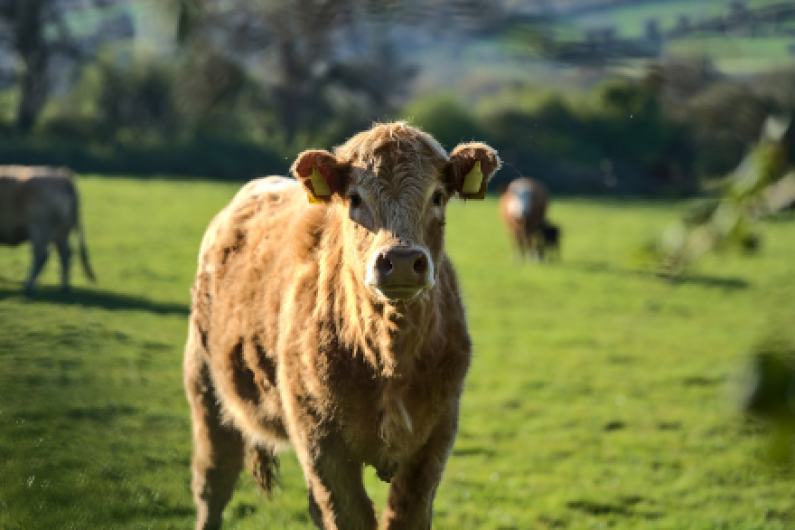 Listen Back - Ulster IFA chair promotes Farm Safety Week