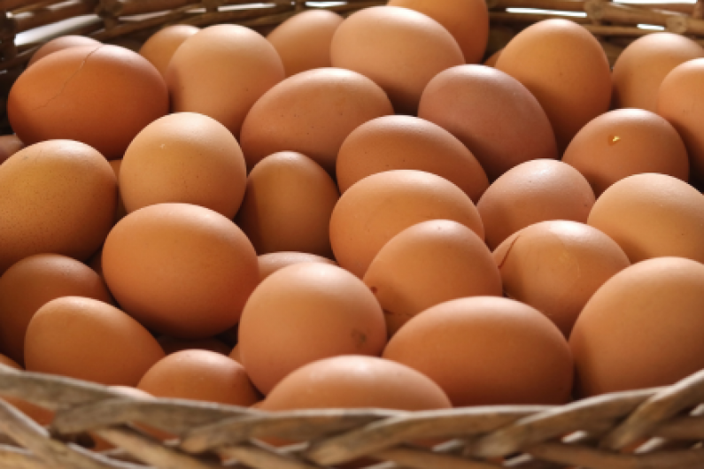 Concerns raised over treatment of Cavan and Monaghan egg producers