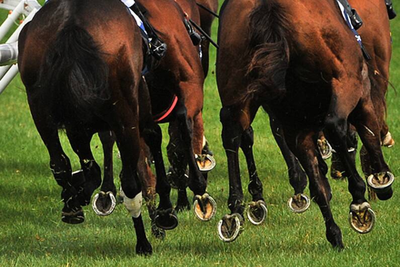 Local commentator 'hopeful' for Irish show jumping team