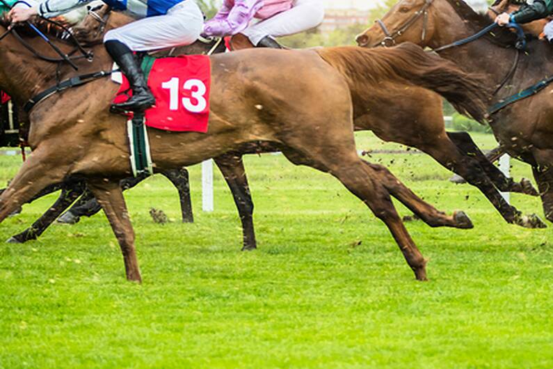 Seven Irish racehorses found in 'horrific condition'