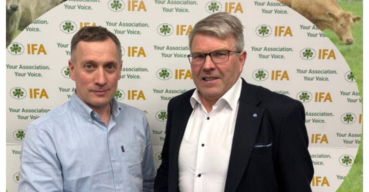 Monaghan farmer elected IFA animal health chair | NorthernSound