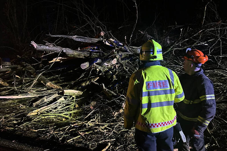 Listen Back: Local forestry workers 'stopped from doing their job'