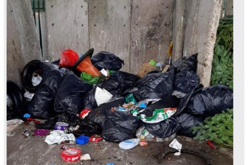 40 bags of rubbish collected from Cavan by-pass at weekend