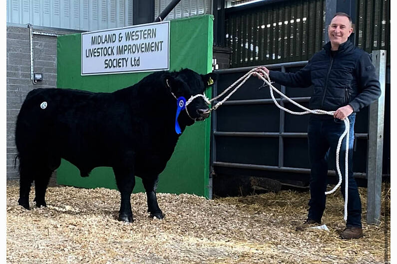 Top price of &euro;9,000 paid for bull to Cavan breeder