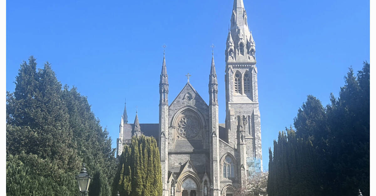 A Monaghan builder says getting to work on an iconic building like St McCartan's Cathedral was incredibly special.
