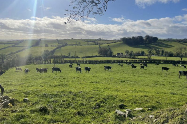 Listen Back: Open day for social farming event in Carrickmacross