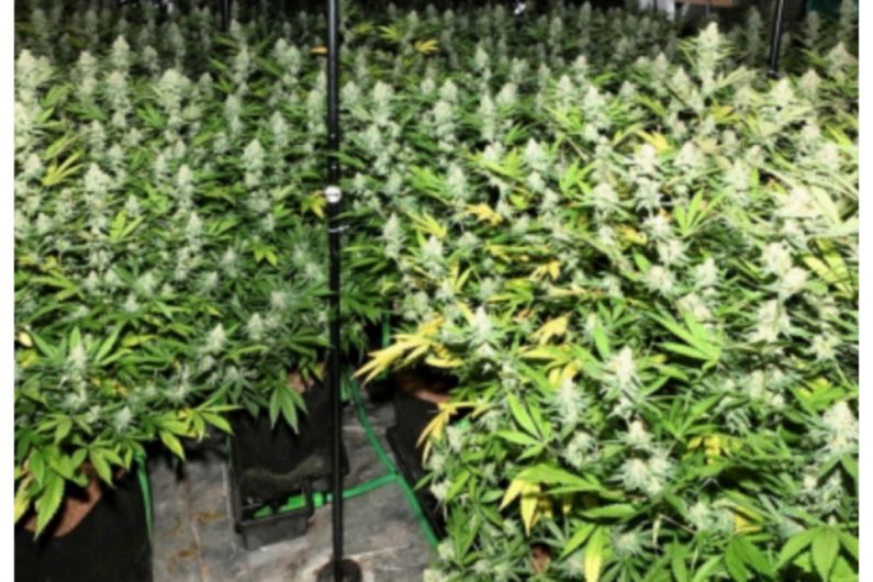 &euro;150,000 worth of cannabis seized in Aughnacloy